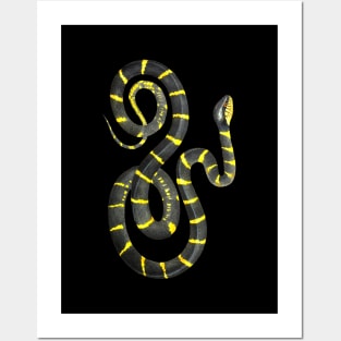 Dramabite Snake Black Yellow Realistic Snake Owner  Animal Ophiology Ringed Cat Snake Posters and Art